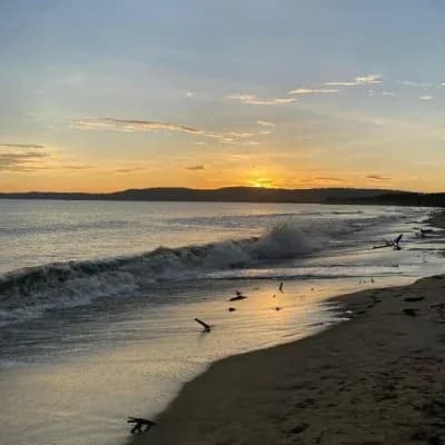 Playa caribena al atardecer con olas, aves marinas y luz dorada reflejada en la arena humeda