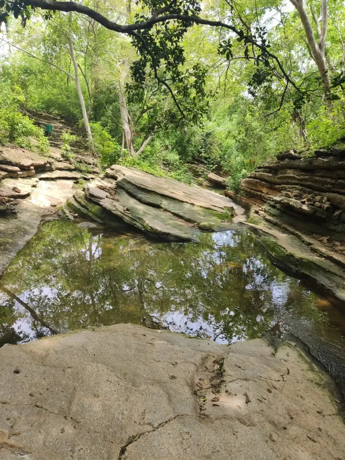 Piscina natural de roca rodeada de exuberante bosque tropical verde con formaciones de piedra en capas